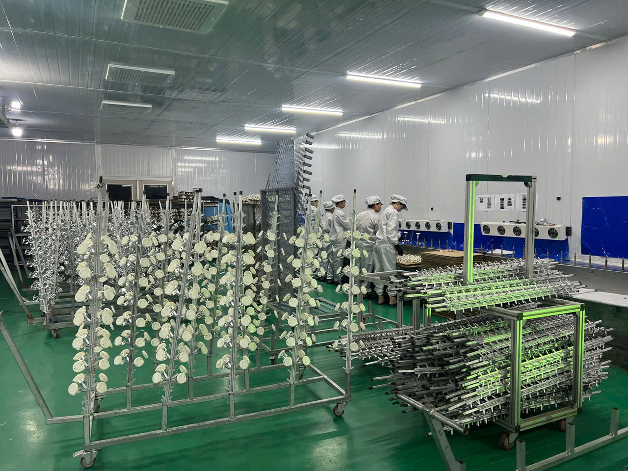 z7122891291473_a4916f4991da679cdb90db5bb851212a