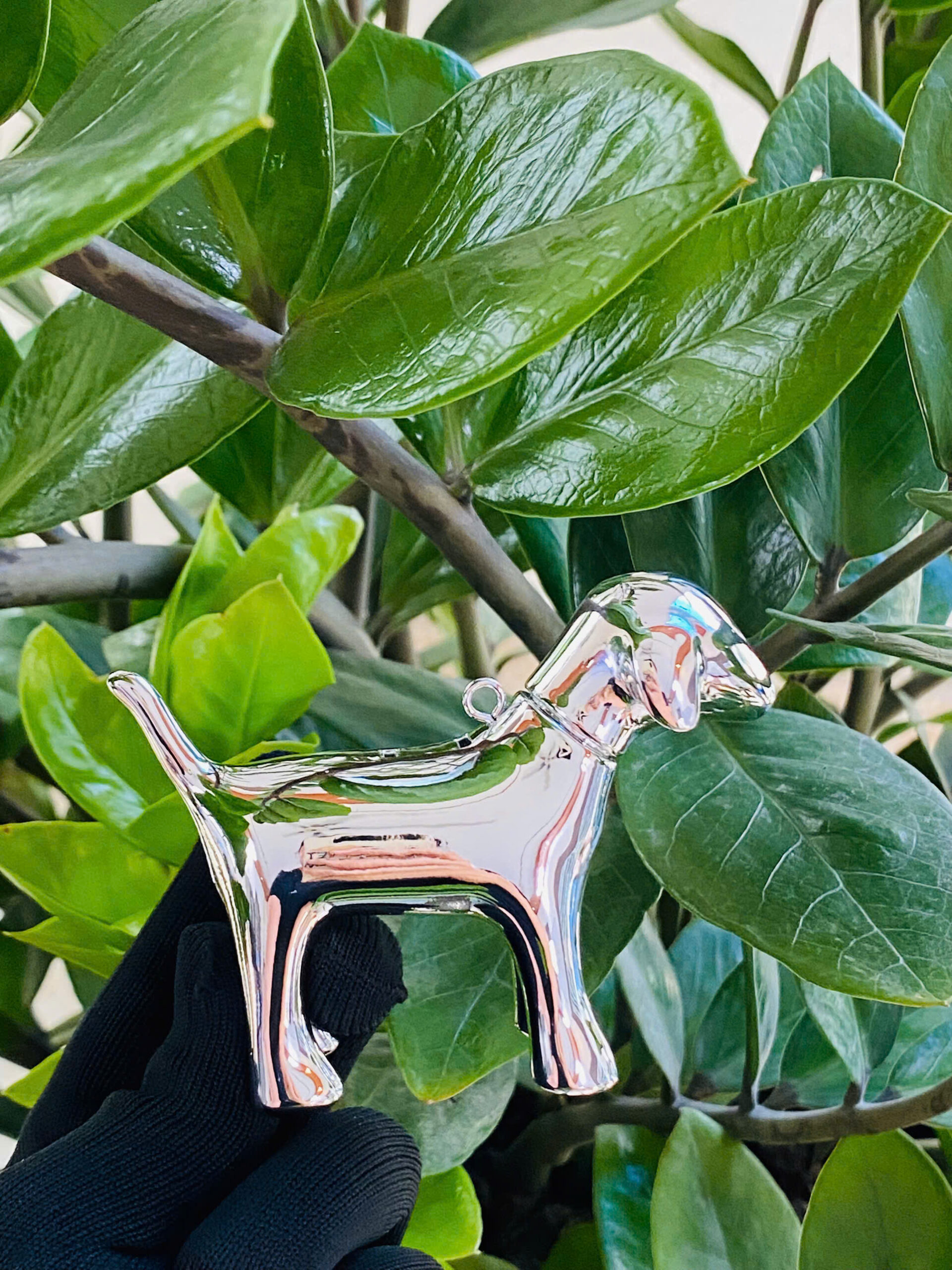 z7126682702997_75693da82a389dbb0ebb78a677a9250e